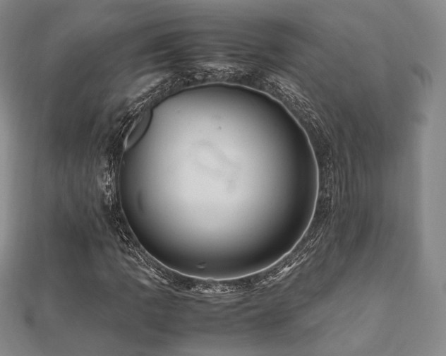X0000112491109200908171241