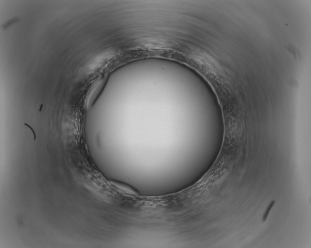 X0000112491110200908171241