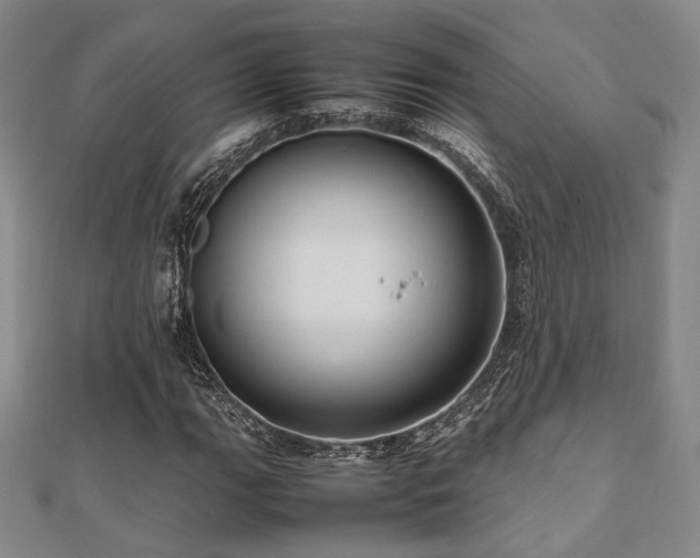 X0000112491111200908171241