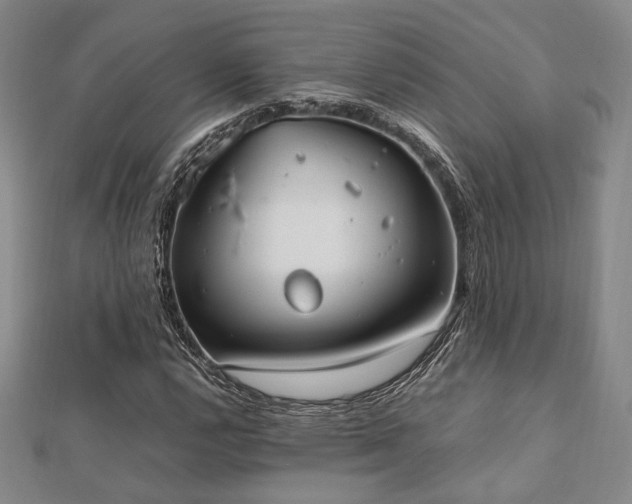 X0000112491112200908171241