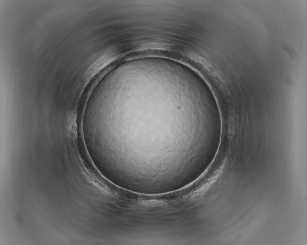 X0000112491113200908171241