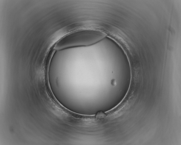 X0000112491114200908171241