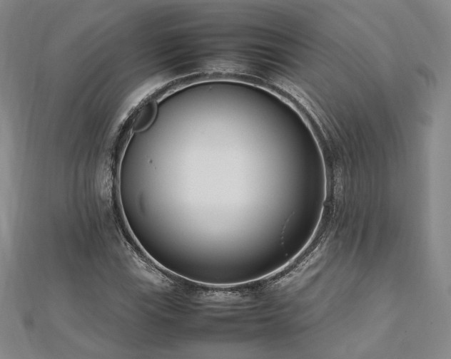 X0000112491115200908171241