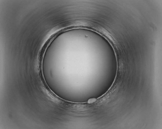 X0000112491116200908171241