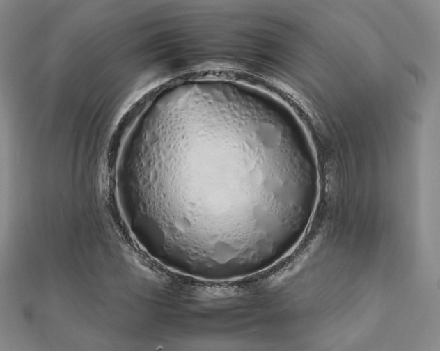 X0000112491117200908171241