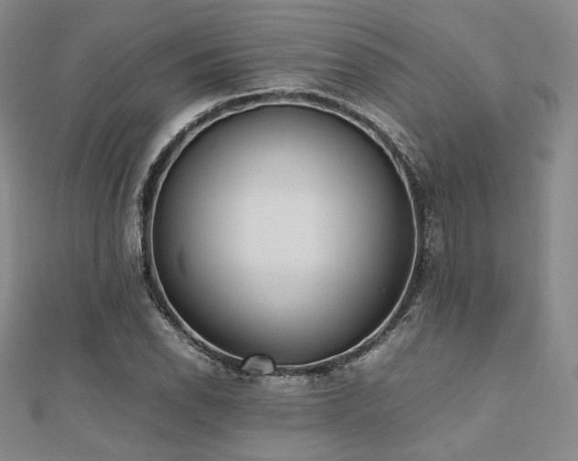 X0000112491118200908171241