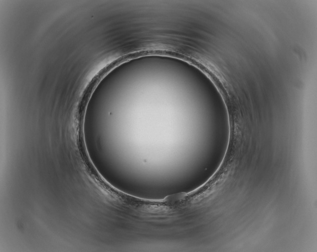 X0000112491119200908171241