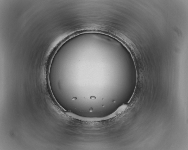 X0000112491120200908171241