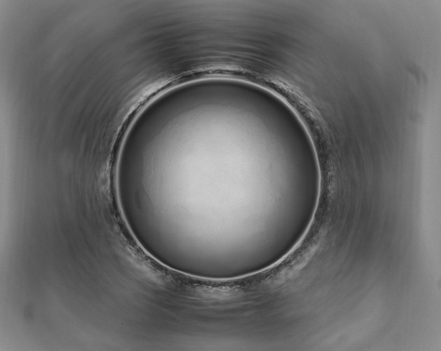 X0000112491121200908171241