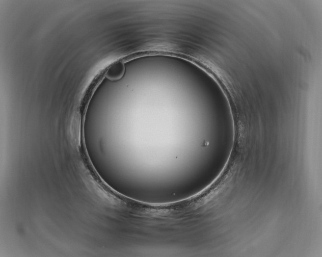 X0000112491123200908171241