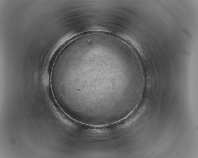 X0000112491125200908171241