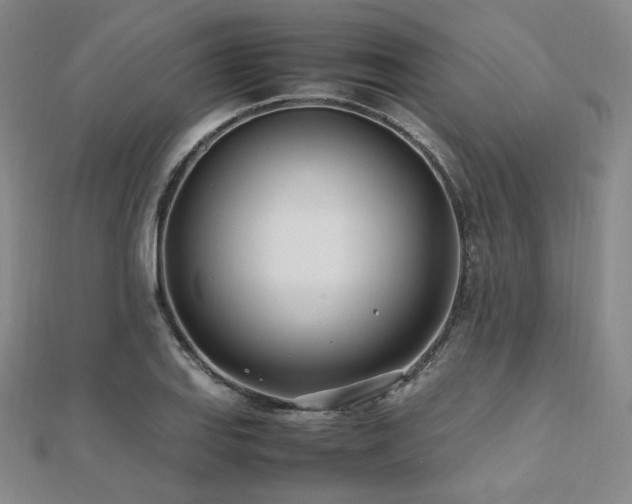 X0000112491127200908171241