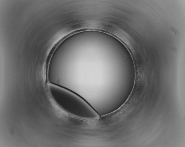 X0000112491128200908171241