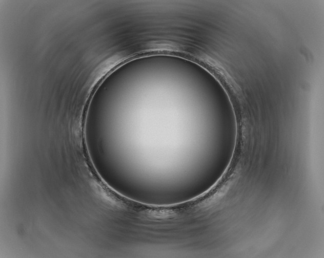 X0000112491129200908171241