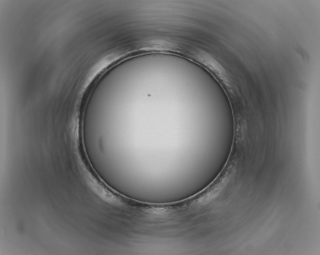 X0000112491130200908171241