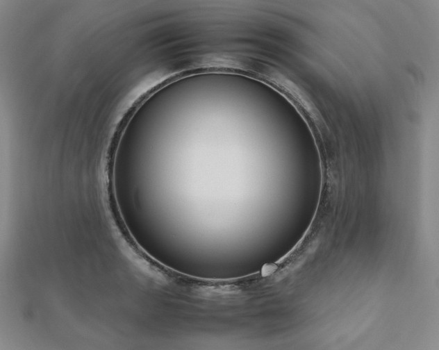X0000112491133200908171241