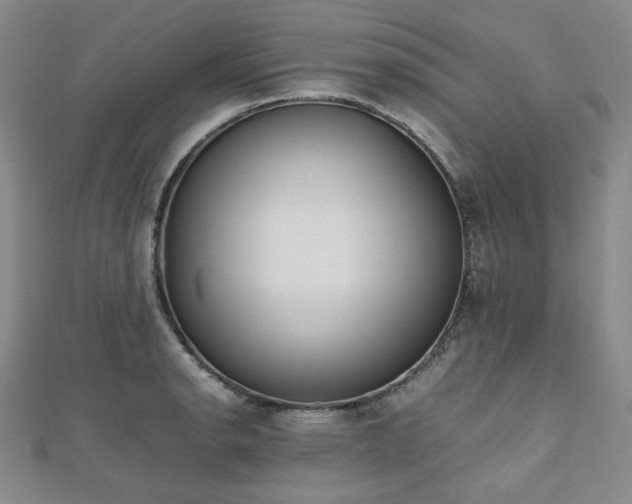 X0000112491134200908171241