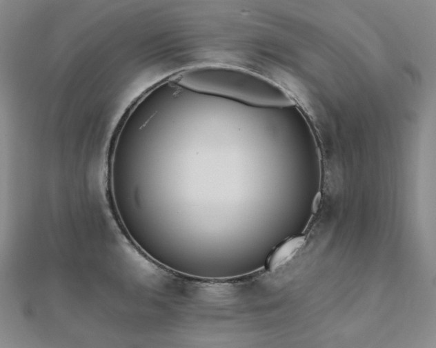 X0000112491136200908171241