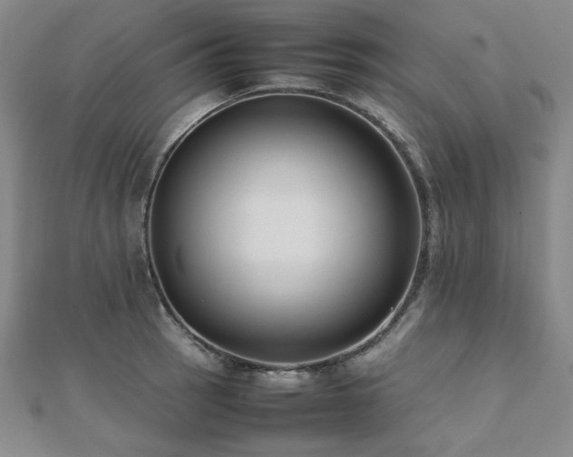 X0000112491137200908171241