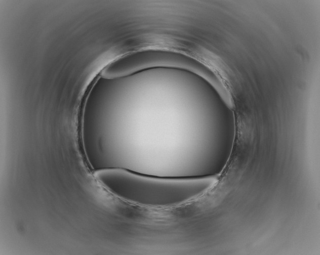 X0000112491138200908171241