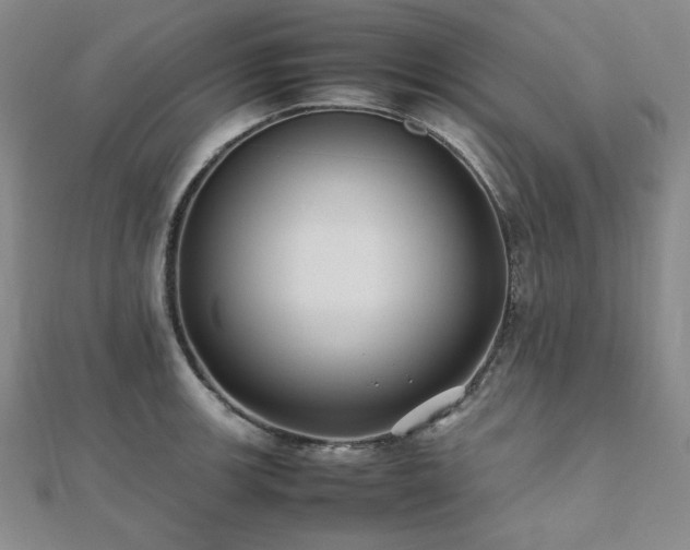 X0000112491139200908171241