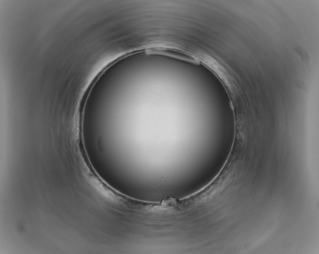 X0000112491140200908171241