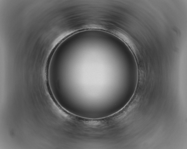 X0000112491141200908171241