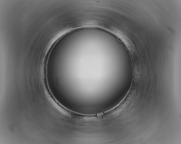 X0000112491142200908171241