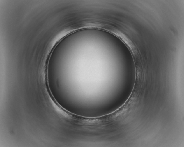 X0000112491143200908171241