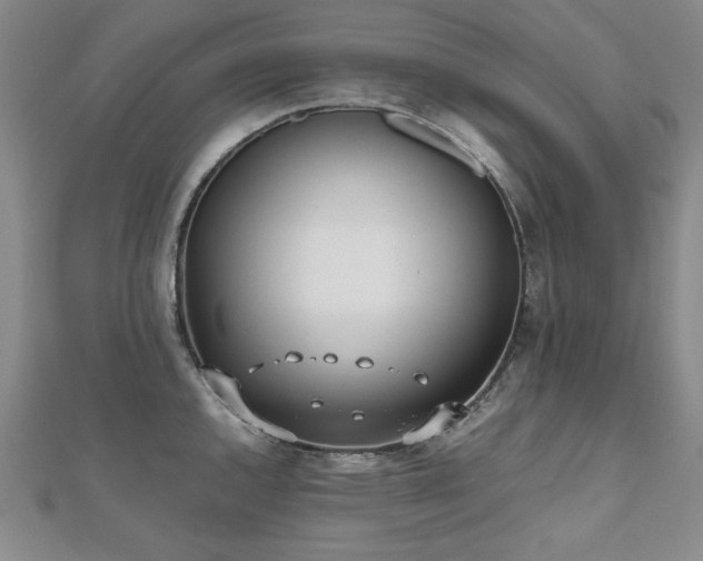 X0000112491144200908171241