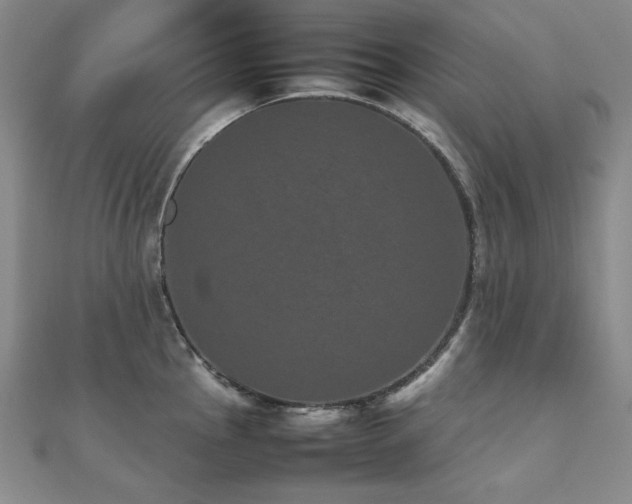 X0000112491145200908171241