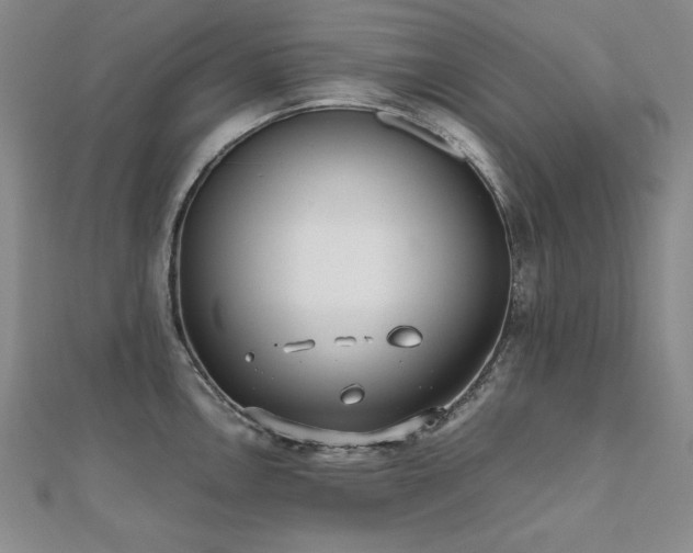 X0000112491146200908171241