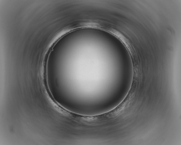 X0000112491147200908171241