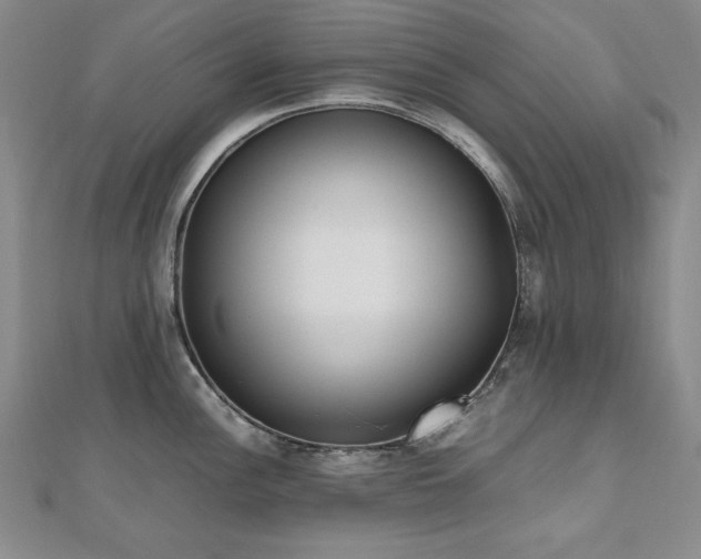 X0000112491148200908171242