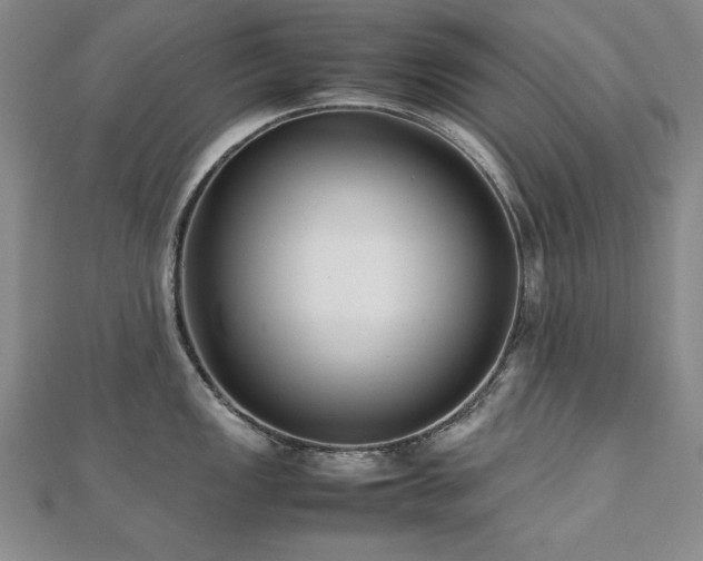 X0000112491149200908171242