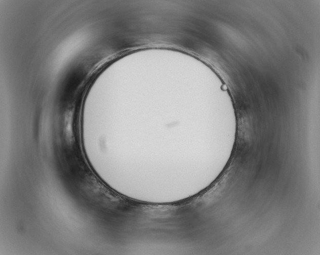 X0000112491150200908171242