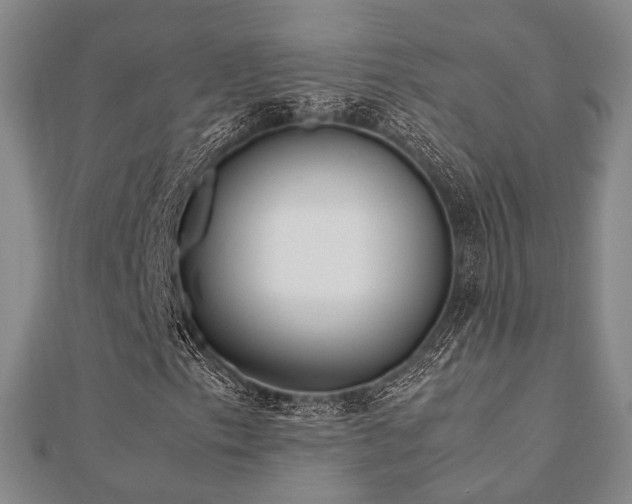 X0000112491153200908171241
