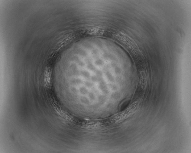 X0000112491154200908171241