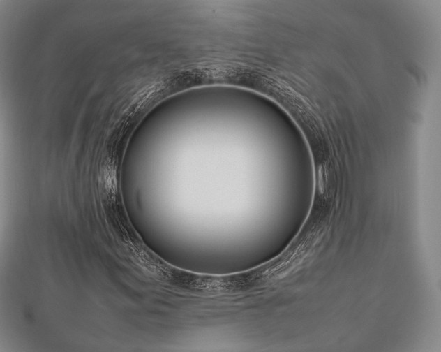 X0000112491155200908171241