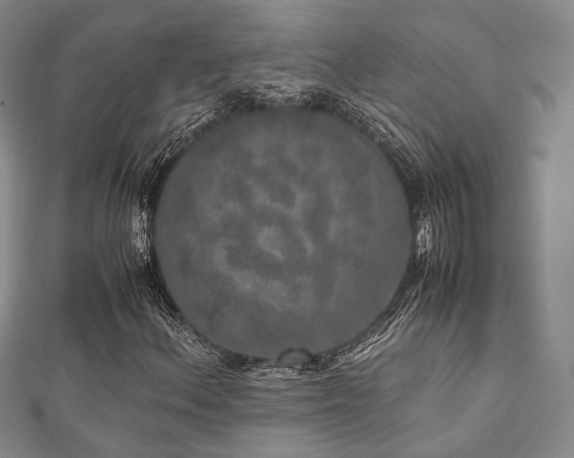 X0000112491156200908171241