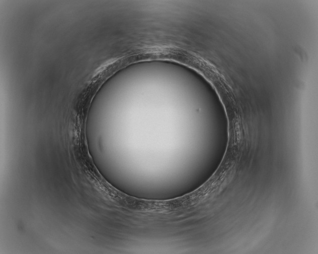 X0000112491158200908171241