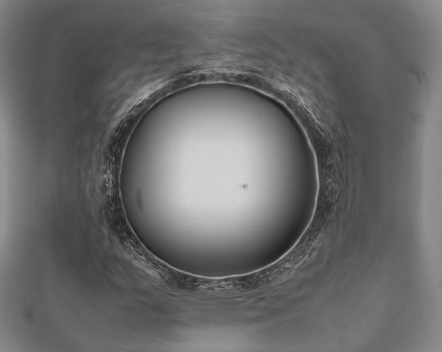 X0000112491159200908171241