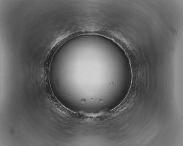 X0000112491160200908171241