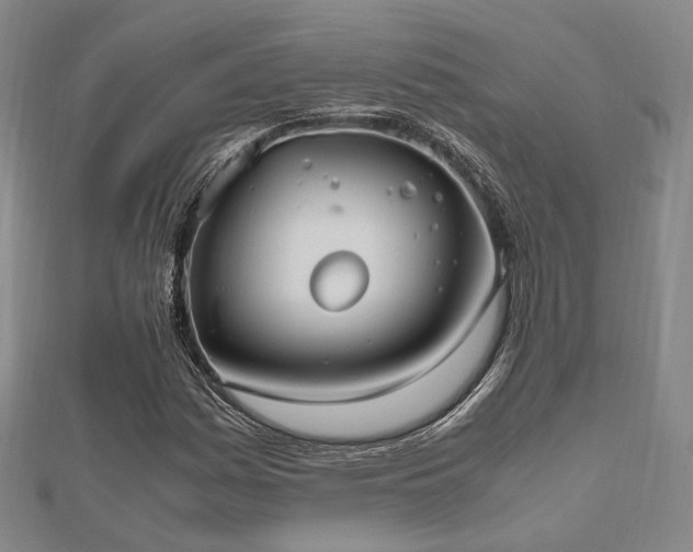 X0000112491161200908171241