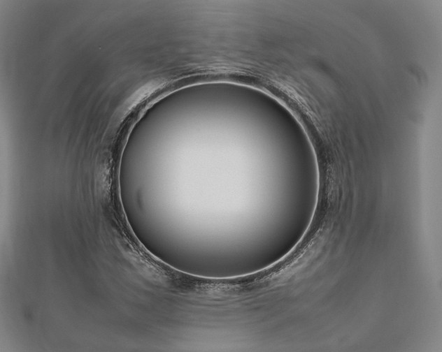 X0000112491163200908171241