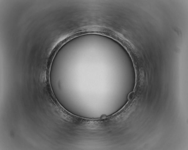 X0000112491166200908171241