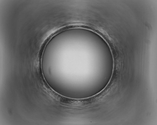 X0000112491167200908171241