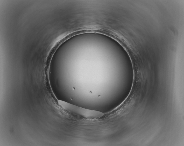 X0000112491168200908171241