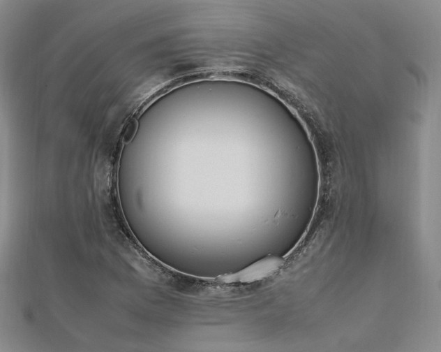 X0000112491169200908171241