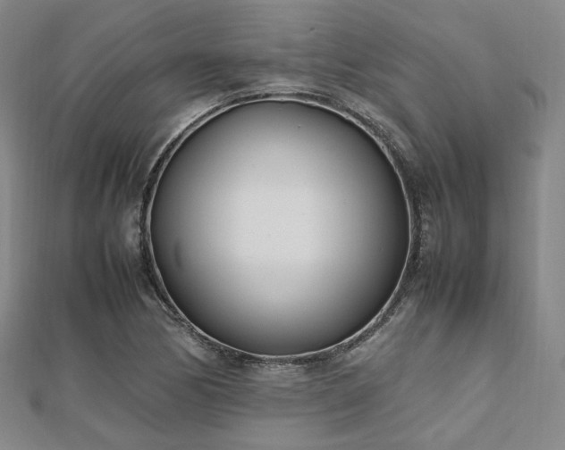 X0000112491170200908171241